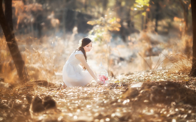 Woman white dress forest candle free wallpaper for desktop - medium preview image