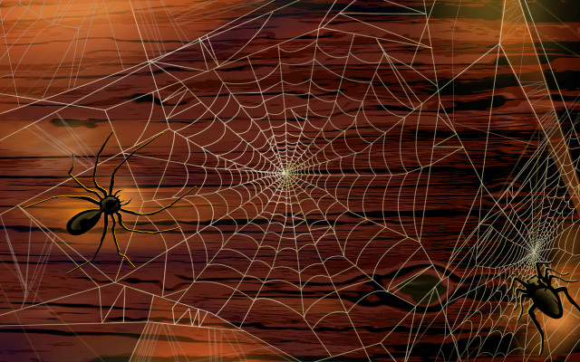 Sunset webs spider fence ferris free wallpaper for desktop - medium preview image