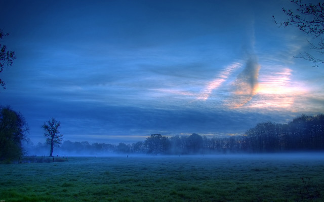 Foggy dusk landscape with trees free wallpaper for desktop - medium preview image