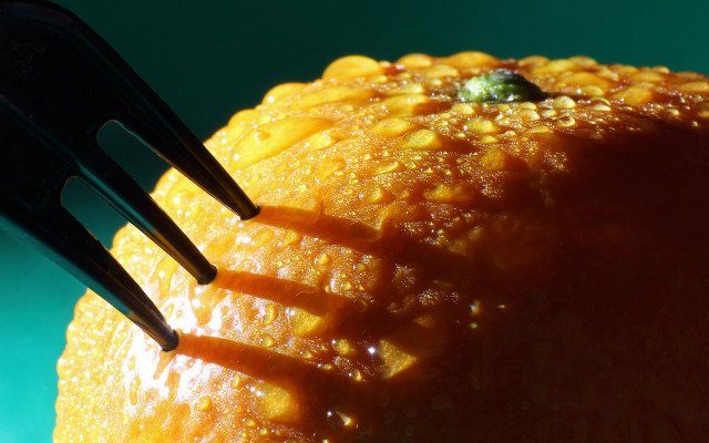 Orange fork macro photorealistic autumn free wallpaper for desktop - medium preview image