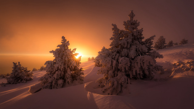 Sunset snowy mountain trees flakes free wallpaper for desktop - medium preview image