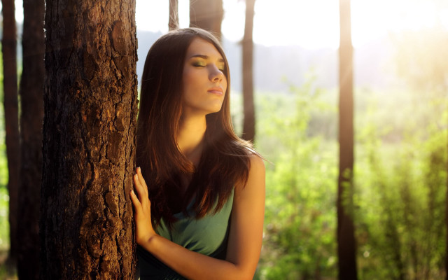 Woman tree forest ambient light free wallpaper for desktop - medium preview image