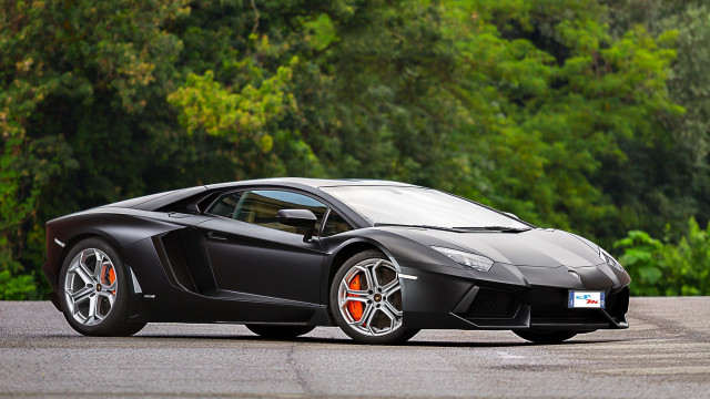 Black sports car parked forest #2 free wallpaper for desktop - medium preview image