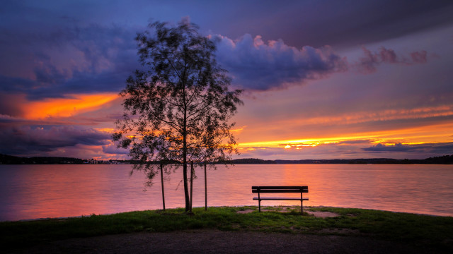 Bench tree water sunset autumn free wallpaper for desktop - medium preview image