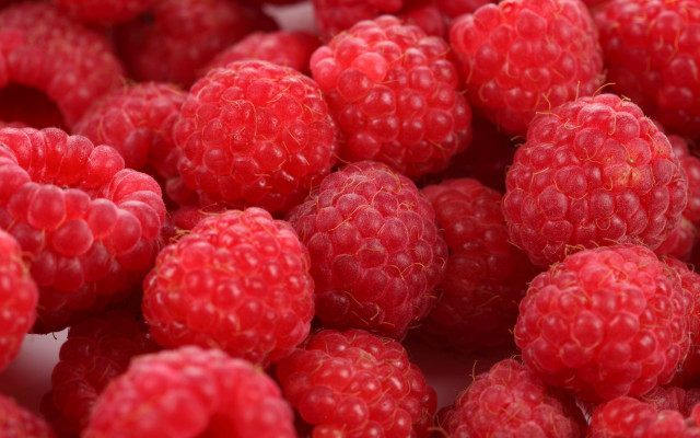 Raspberries berry closeup food flower free wallpaper for desktop - medium preview image
