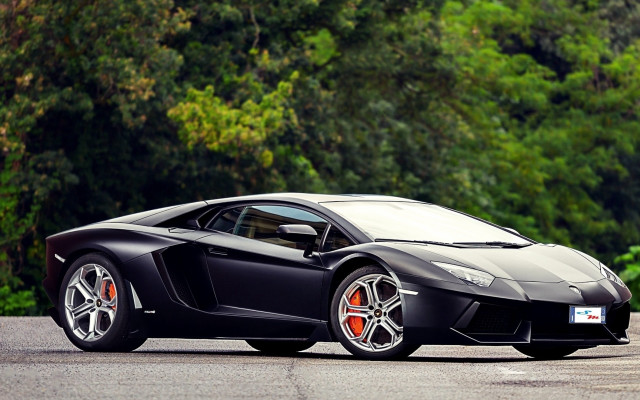 Black sports car forest road free wallpaper for desktop - medium preview image