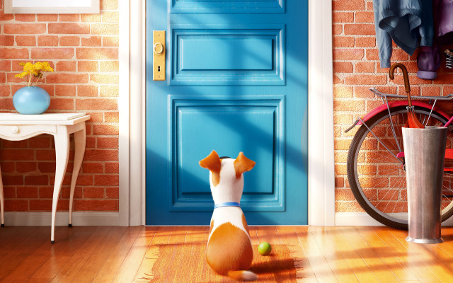 Dog blue door handlebar brick free wallpaper for desktop - medium preview image