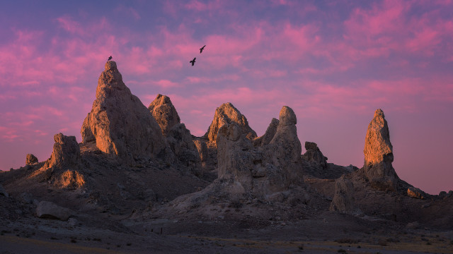 Bird mountain sunset pink cloud free wallpaper for desktop - medium preview image