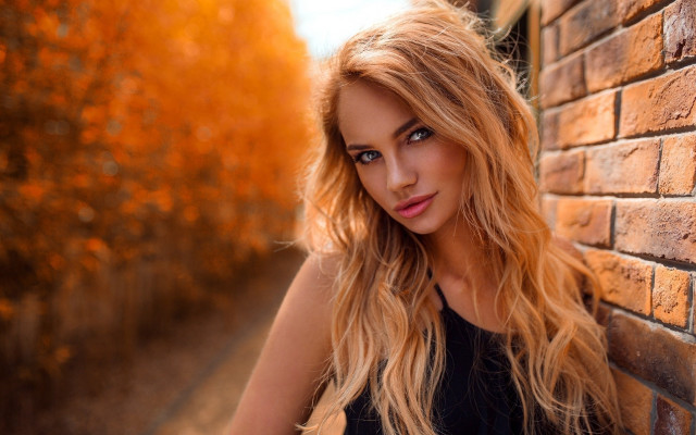 Blonde woman brick wall autumn free wallpaper for desktop - medium preview image