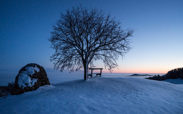 Snowy hill bench tree dusk free wallpaper for desktop - medium preview image