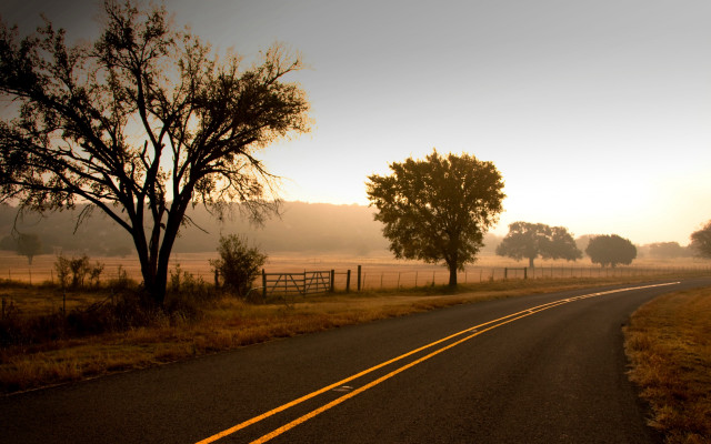 Yellow road fence autumn leaves free wallpaper for desktop - medium preview image