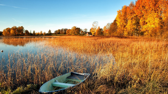 Small boat marshy autumn trees free wallpaper for desktop - medium preview image