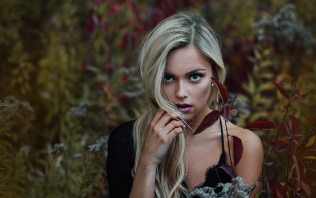 Blonde woman flower field portrait free wallpaper for desktop - medium preview image