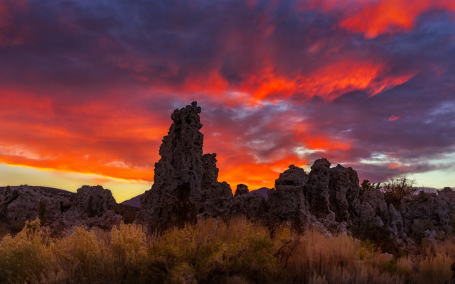Sunset red sky rocks plants free wallpaper for desktop - medium preview image