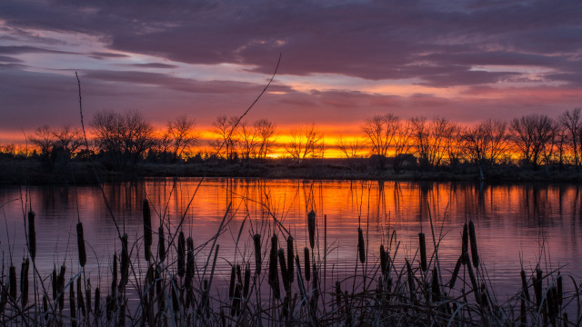 Sunset lake reeds trees clouds free wallpaper for desktop - medium preview image