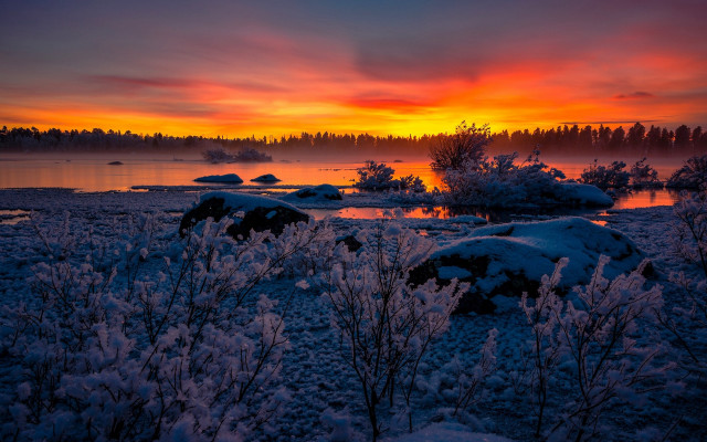 Sunset lake snow trees bushes #2 free wallpaper for desktop - medium preview image