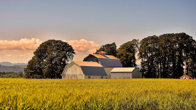 Barn trees sky clouds dusk free wallpaper for desktop - medium preview image