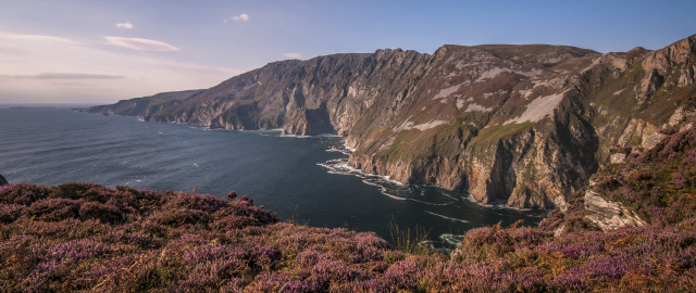Mountain lake cliff purpleflowers forest free wallpaper for desktop - medium preview image