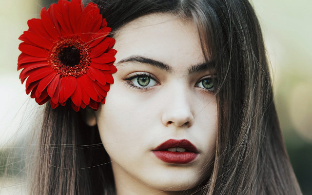 Araceli gilbert red flower portrait free wallpaper for desktop - medium preview image