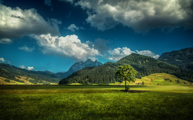 Lone tree mountains clouds green free wallpaper for desktop - medium preview image
