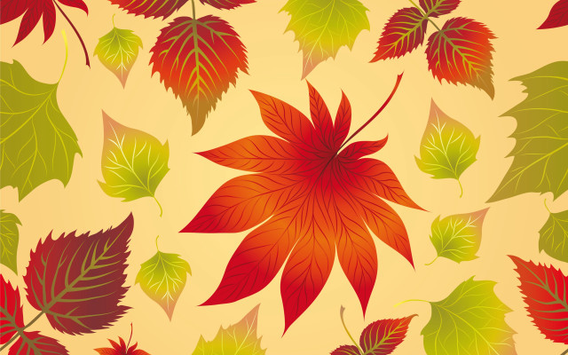 Autumn leaves bamboo puzzle starfish free wallpaper for desktop - medium preview image