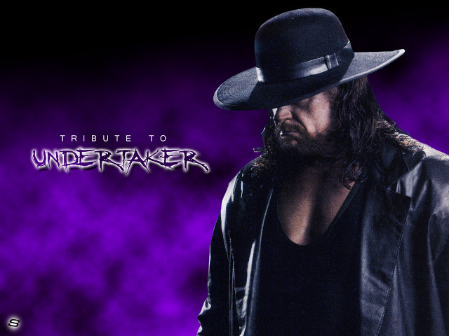 Man hat leather jacket purple #2 free wallpaper for desktop - medium preview image