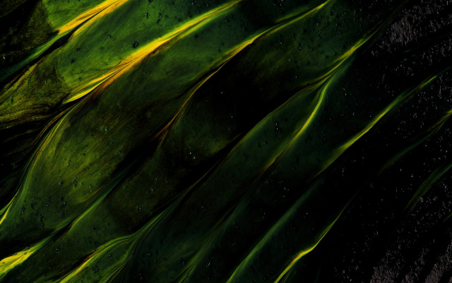 Plant water droplets abstract aurora free wallpaper for desktop - medium preview image