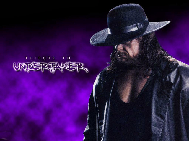 Man hat leather jacket purple #3 free wallpaper for desktop - medium preview image