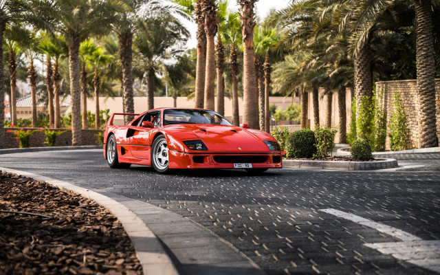 Red sports car street palm free wallpaper for desktop - medium preview image