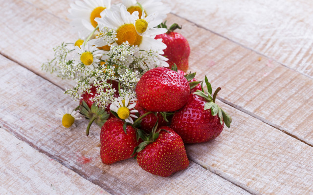 Strawberries daisies flower bouquet berry free wallpaper for desktop - medium preview image