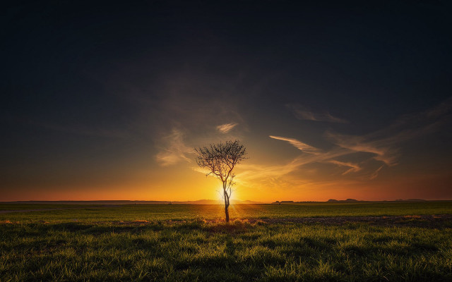 Lone tree sunset clouds mountain #2 free wallpaper for desktop - medium preview image