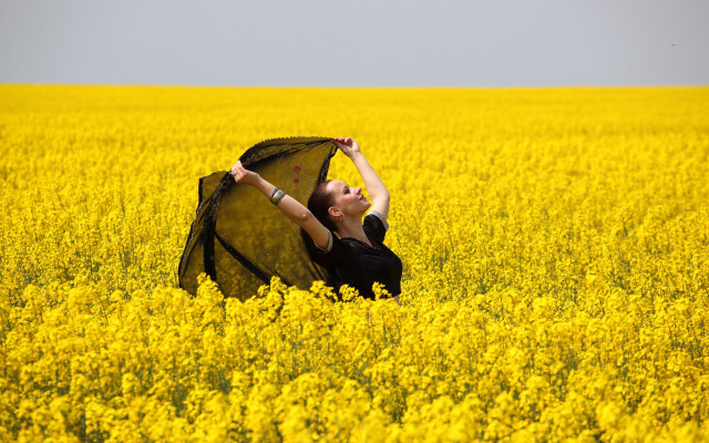 Woman field yellow flowers black free wallpaper for desktop - medium preview image