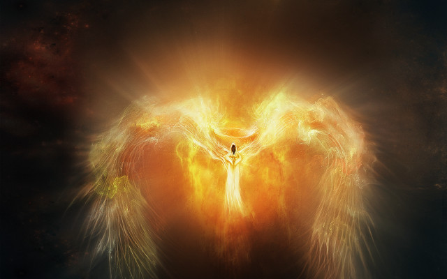 Fiery bird embers magic explosion free wallpaper for desktop - medium preview image