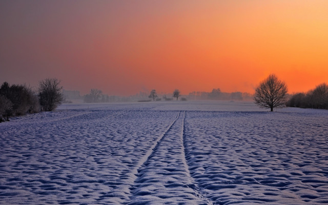 Snowy field trees sunset winter free wallpaper for desktop - medium preview image