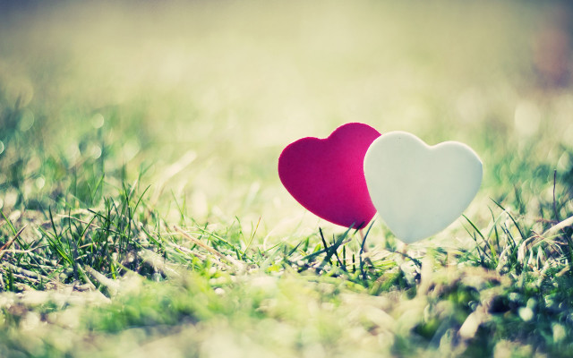 Two hearts grass sunlight love #2 free wallpaper for desktop - medium preview image