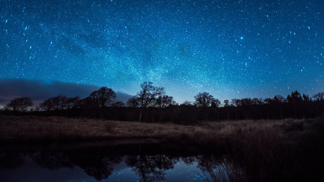 Night sky stars lake trees free wallpaper for desktop - medium preview image