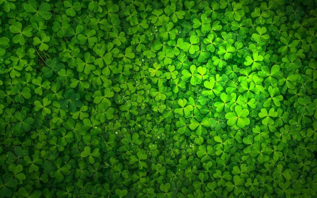 Green leaves ecological 3d render free wallpaper for desktop - medium preview image