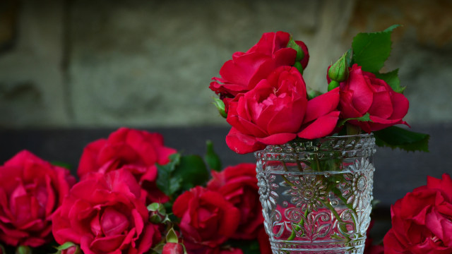 Vase red roses floral stilllife free wallpaper for desktop - medium preview image