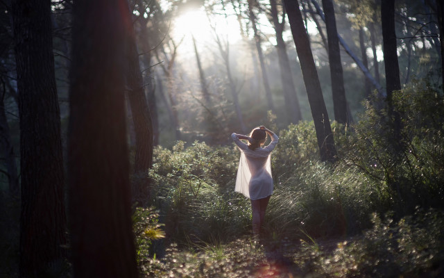 Woman forest white dress figuration free wallpaper for desktop - medium preview image