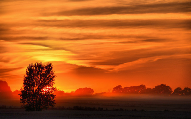 Tree sunset clouds horizon autumn free wallpaper for desktop - medium preview image