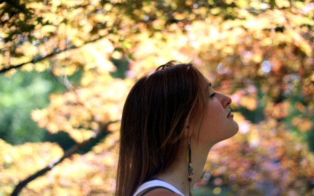 Woman tree frisbee autumn blurry free wallpaper for desktop - medium preview image