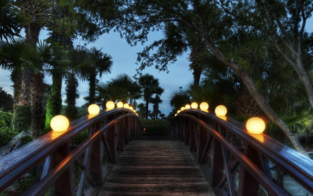 Wooden bridge lights palm trees #2 free wallpaper for desktop - medium preview image