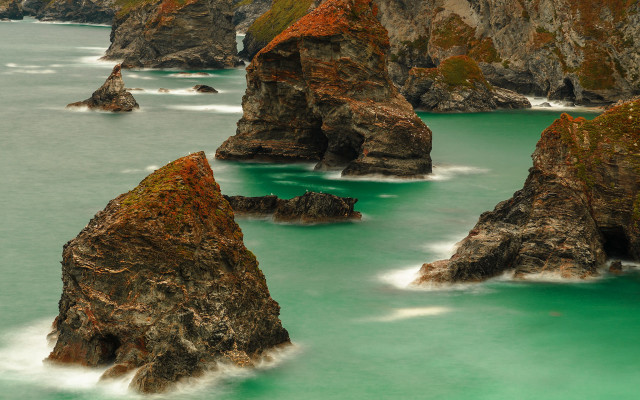 Rock cliff bird water impressionist free wallpaper for desktop - medium preview image