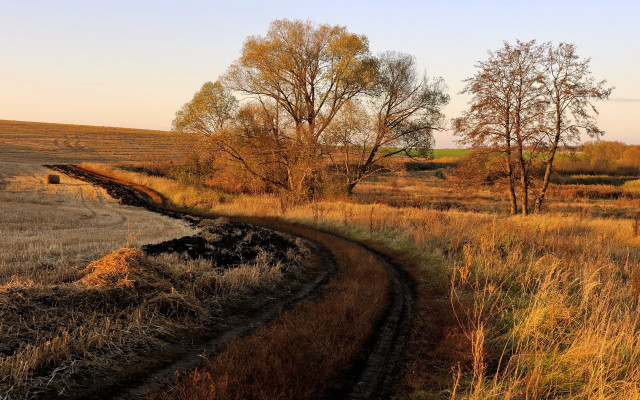 Dirt road autumn leaves mountains free wallpaper for desktop - medium preview image
