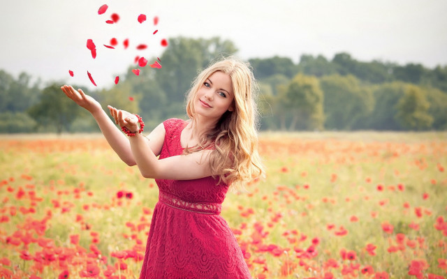 Red dress woman flowers field free wallpaper for desktop - medium preview image