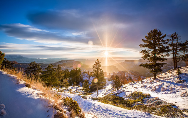 Sunny snowy mountain landscape trees free wallpaper for desktop - medium preview image