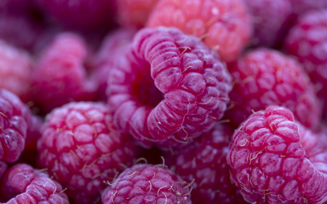 Raspberries pink berry photorealism macro free wallpaper for desktop - medium preview image
