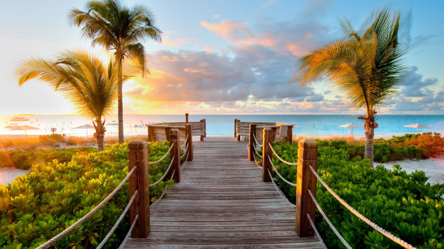 Wooden walkway beach palm trees #5 free wallpaper for desktop - medium preview image
