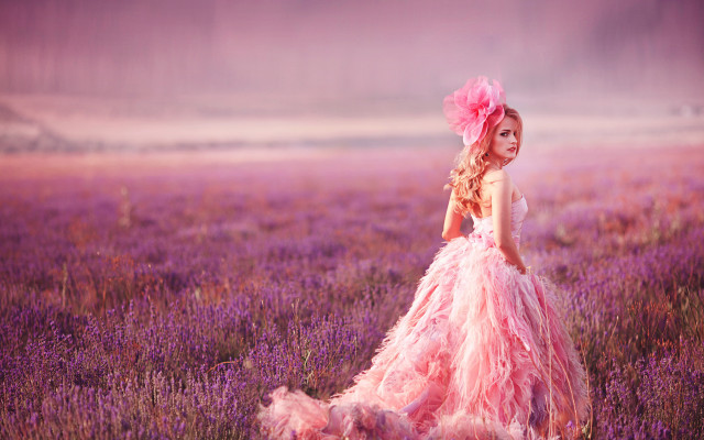 Pink dress girl lavender field free wallpaper for desktop - medium preview image