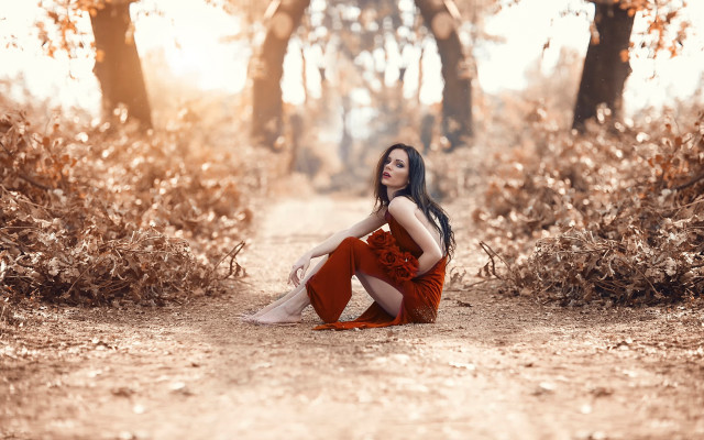 Woman red dress forest autumn #2 free wallpaper for desktop - medium preview image